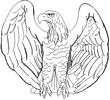 EAGLE2.jpg