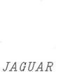 JAG2.jpg