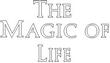 MAGIC.jpg
