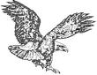 EAGL2.jpg