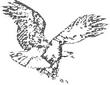 EAGL3.jpg