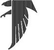 FALCONR.jpg