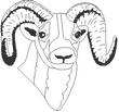 RAM.jpg