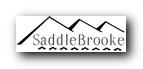 SADDLE.jpg