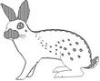 RABBIT.jpg