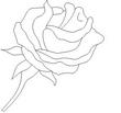ROSE.jpg