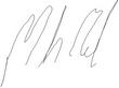 SIGNAT.jpg