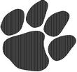 TIGERP.jpg