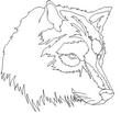 WOLF.jpg