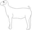 GOAT2.jpg