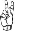 HAND2.jpg