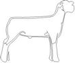 LAMB.jpg