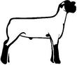 LAMB2.jpg