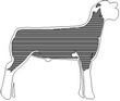LAMB3.jpg