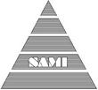 SAMI.jpg