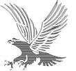 EAGLE4.jpg