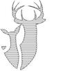 QDMA1.jpg