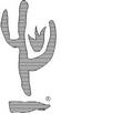 CACTUS.jpg
