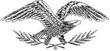 EAGLE1.jpg