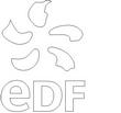 EDF.jpg