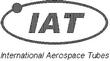 IAT.jpg