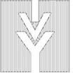IVY.jpg