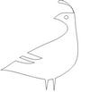 QUAIL2.jpg