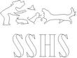 SSHS.jpg