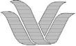 WACOA1.jpg