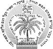 YETEV3.jpg