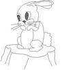BUNNY.jpg