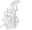 DAFDIL.jpg