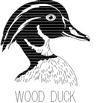 DUCK15.jpg