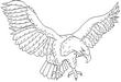 EAGLE1.jpg