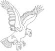 EAGLE4.jpg