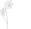 FLOER4.jpg