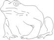 FROG.jpg