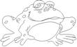 FROG1.jpg