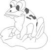 FROG3.jpg