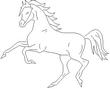 HORSE5.jpg