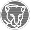 JAGUAR.jpg