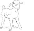 LAMB.jpg
