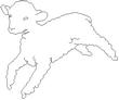 LAMB2.jpg