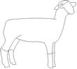 LAMB4.jpg