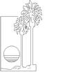 PALM10.jpg