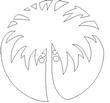 PALM11.jpg