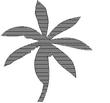 PALM3.jpg