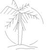 PALM5.jpg