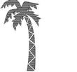 PALM6.jpg