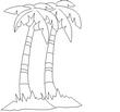 PALM7.jpg